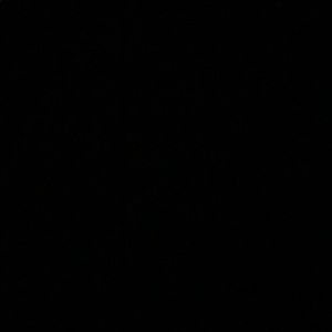 Meet your Posher, Chase